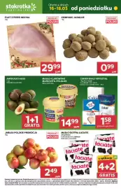 Stokrotka gazetka Strona 1