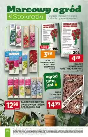 Stokrotka gazetka Strona 3