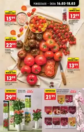 Biedronka gazetka tydzień 12 Strona 29