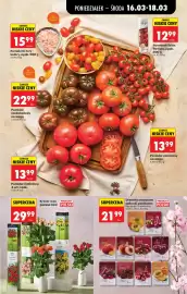 Biedronka gazetka tydzień 12 Strona 31