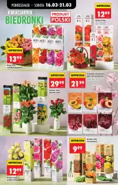 Biedronka gazetka tydzień 12 Strona 78