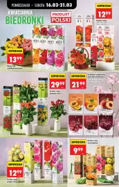 Biedronka gazetka tydzień 12 Strona 81