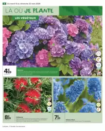 Catalogue Carrefour Market page 6