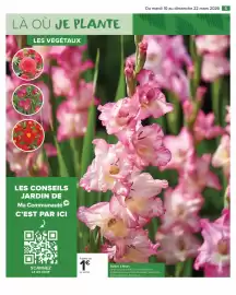 Catalogue Carrefour Market page 7