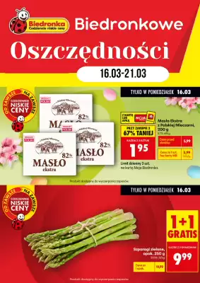 Biedronka gazetka (ważność do 21-03)