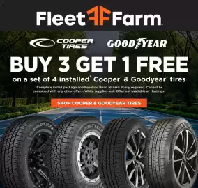 Mills Fleet Farm weekly ad week 12 Page 2