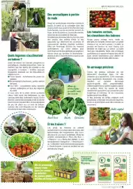 Catalogue VillaVerde page 13