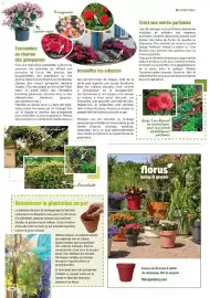 Catalogue VillaVerde page 17