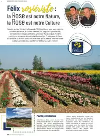 Catalogue VillaVerde page 22
