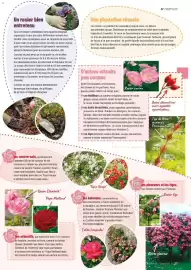 Catalogue VillaVerde page 27