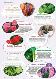 Catalogue VillaVerde page 30
