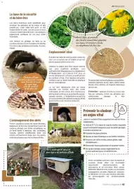 Catalogue VillaVerde page 63