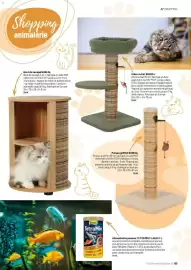 Catalogue VillaVerde page 65