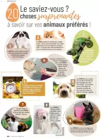 Catalogue VillaVerde page 66