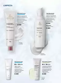 Catálogo Natura Página 102