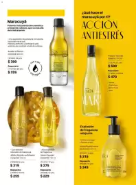 Catálogo Natura Página 115