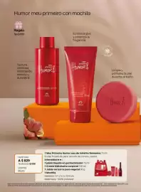 Catálogo Natura Página 17