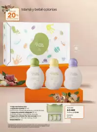 Catálogo Natura Página 43