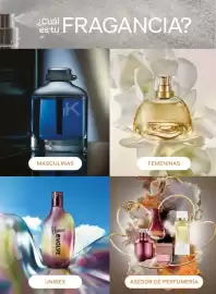 Catálogo Natura Página 47