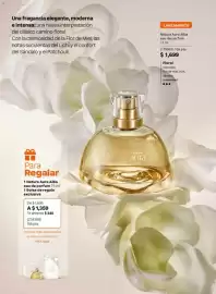 Catálogo Natura Página 51