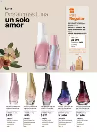 Catálogo Natura Página 55