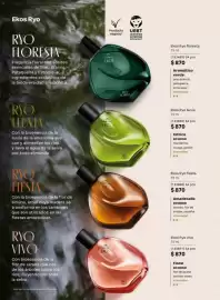 Catálogo Natura Página 58