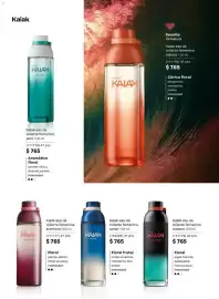 Catálogo Natura Página 61