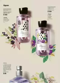 Catálogo Natura Página 68