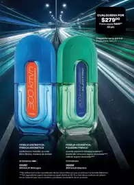 Catálogo Avon Página 121