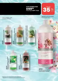 Catálogo Avon Página 177