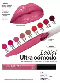 Catálogo Avon Página 67