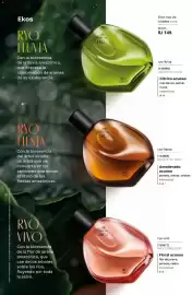 Catálogo Natura Página 58