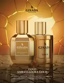 Müller Flugblatt Seite 17