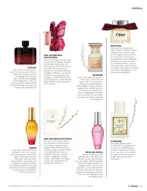 Müller Flugblatt Seite 23