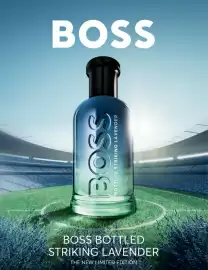 Müller Flugblatt Seite 25