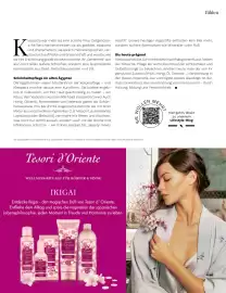 Müller Flugblatt Seite 39