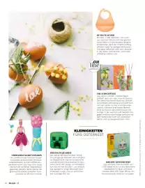 Müller Flugblatt Seite 48