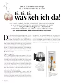 Müller Flugblatt Seite 66