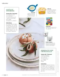 Müller Flugblatt Seite 68