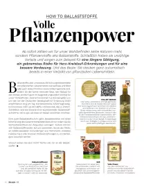 Müller Flugblatt Seite 70