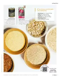 Müller Flugblatt Seite 71