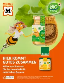 Müller Flugblatt Seite 85