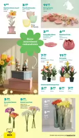 Happyland folder Pagina 2