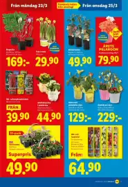 Lidl reklamblad vecka 13 Sida 19