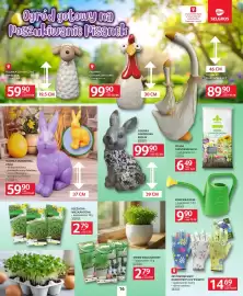 Selgros gazetka Strona 16