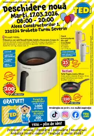 Catalog TEDI săptămâna 12 Pagină 1