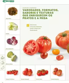 Folheto Recheio Página 10