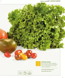 Folheto Recheio Página 11