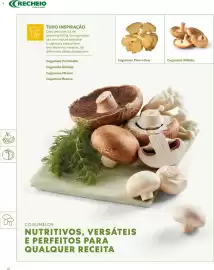 Folheto Recheio Página 12