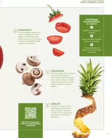 Folheto Recheio Página 15